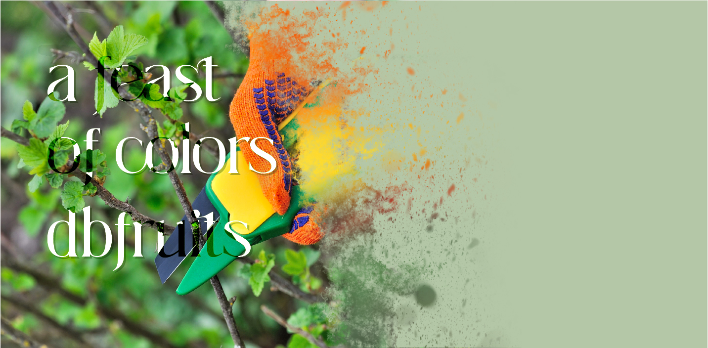A Feast of Colors dbfruits